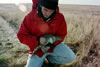 Cam with female Sage Grouse
