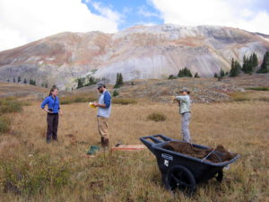 A fine-looking crew of Ecology grad students restore a degraded fen site in the San Juan Mountains, Colorado.