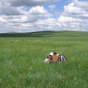 Sampling grassland vegetation with field crew in a sea of green grass