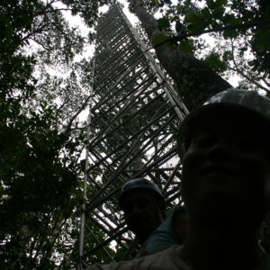 Picture of thirty meter tower for sampling foliage in secondary forest at La Selva Biological Station, Costa Rica