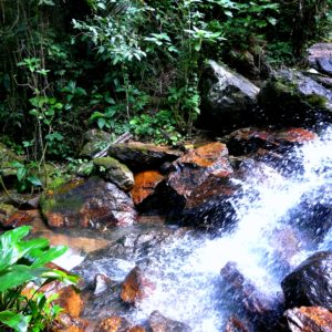 Water flowing through creek