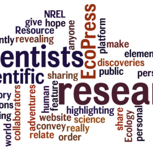 NREL wordle