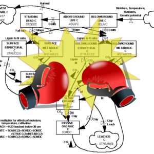 battles in science century