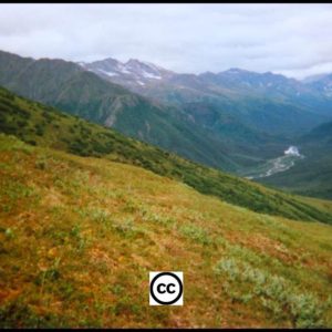 Brooks Range AK, hillside
