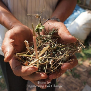 Biochar sample in hands