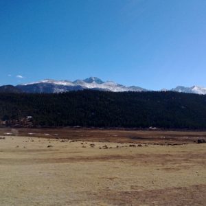 Post-Fern Lake Fire, Moraine Park Burn Scar, Rocky Mountain National Park. March 31, 2013
