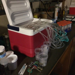 Flushing soil incubation vials