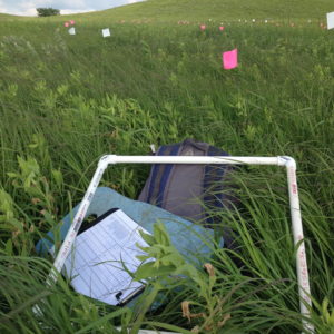 Andrew Felton in the field at the Konza Prairie