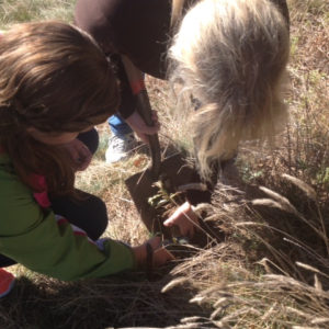 A Preston student takes soil temperature while Mrs. Laslzo takes a soil sample.