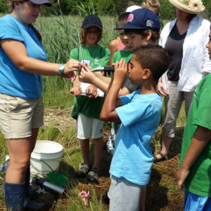 Virginia Master Naturalists explain plants to students