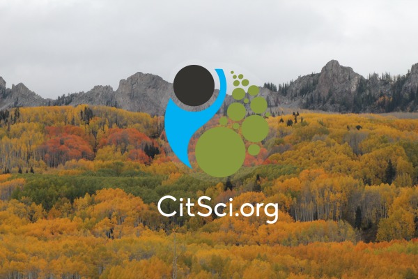 CitSci logo on background of Aspen trees