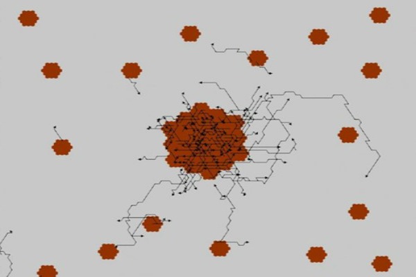 Diagram of population distribution