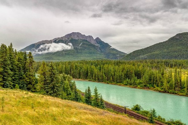 River in clouded coniferous forest