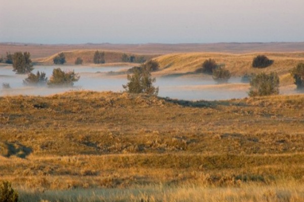 Fog in low areas on plains