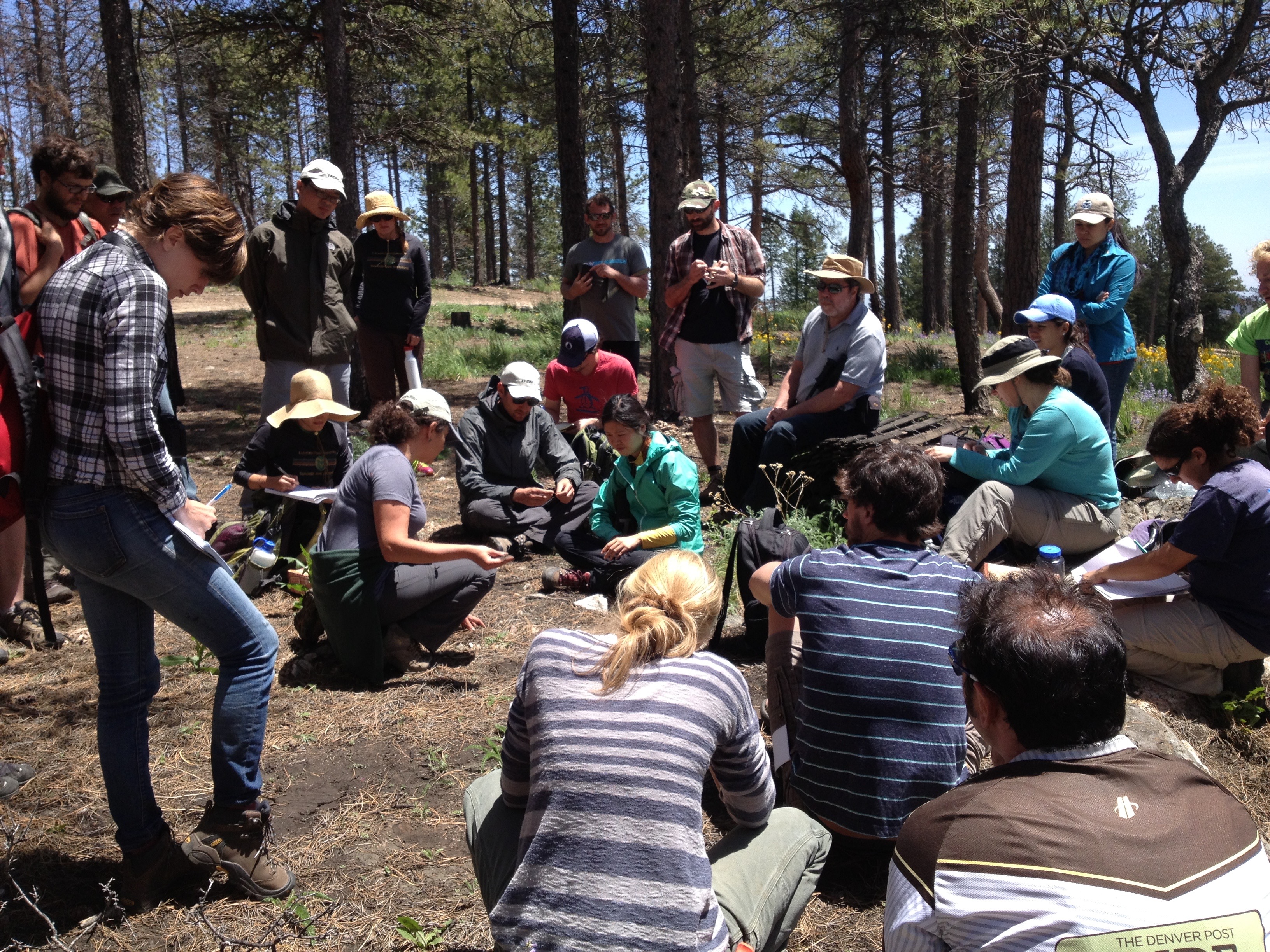 Summer Soils Institute, students in the Forest