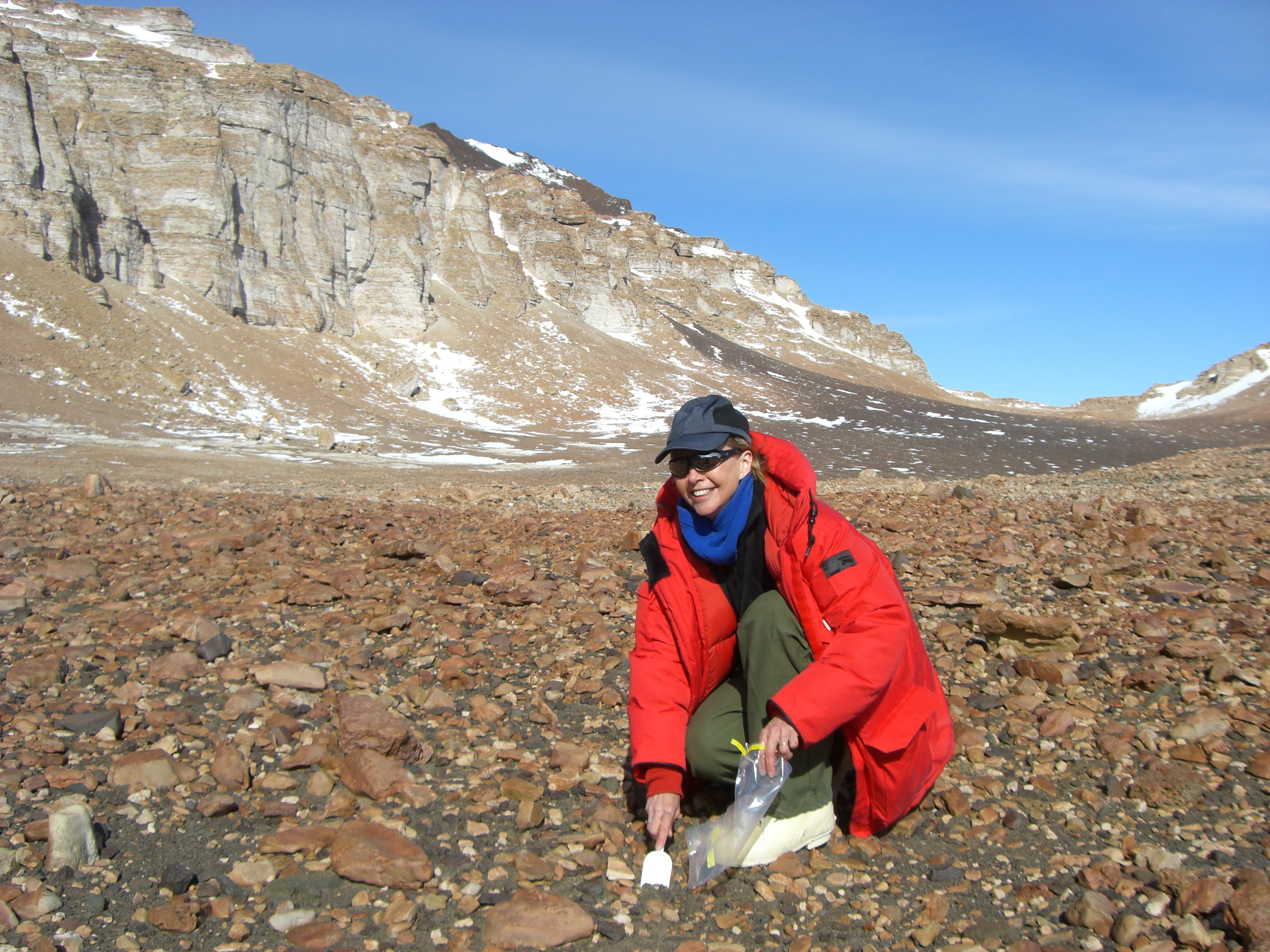 Diana Wall digging for nematodes in Antarctica