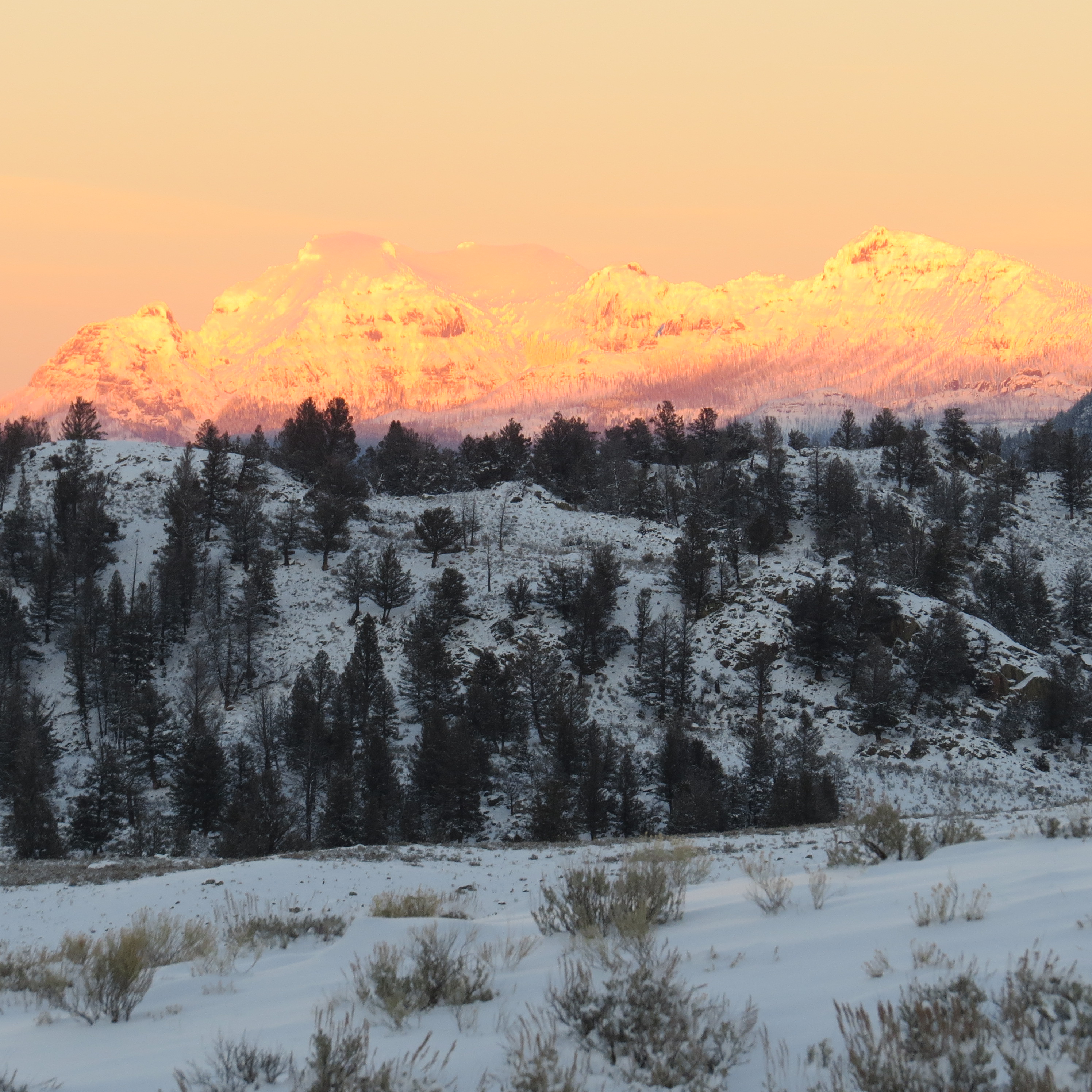 Yellowstone Sunset Landscape Montana