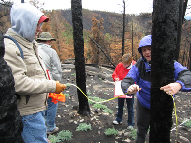 Students collecting data at burn site