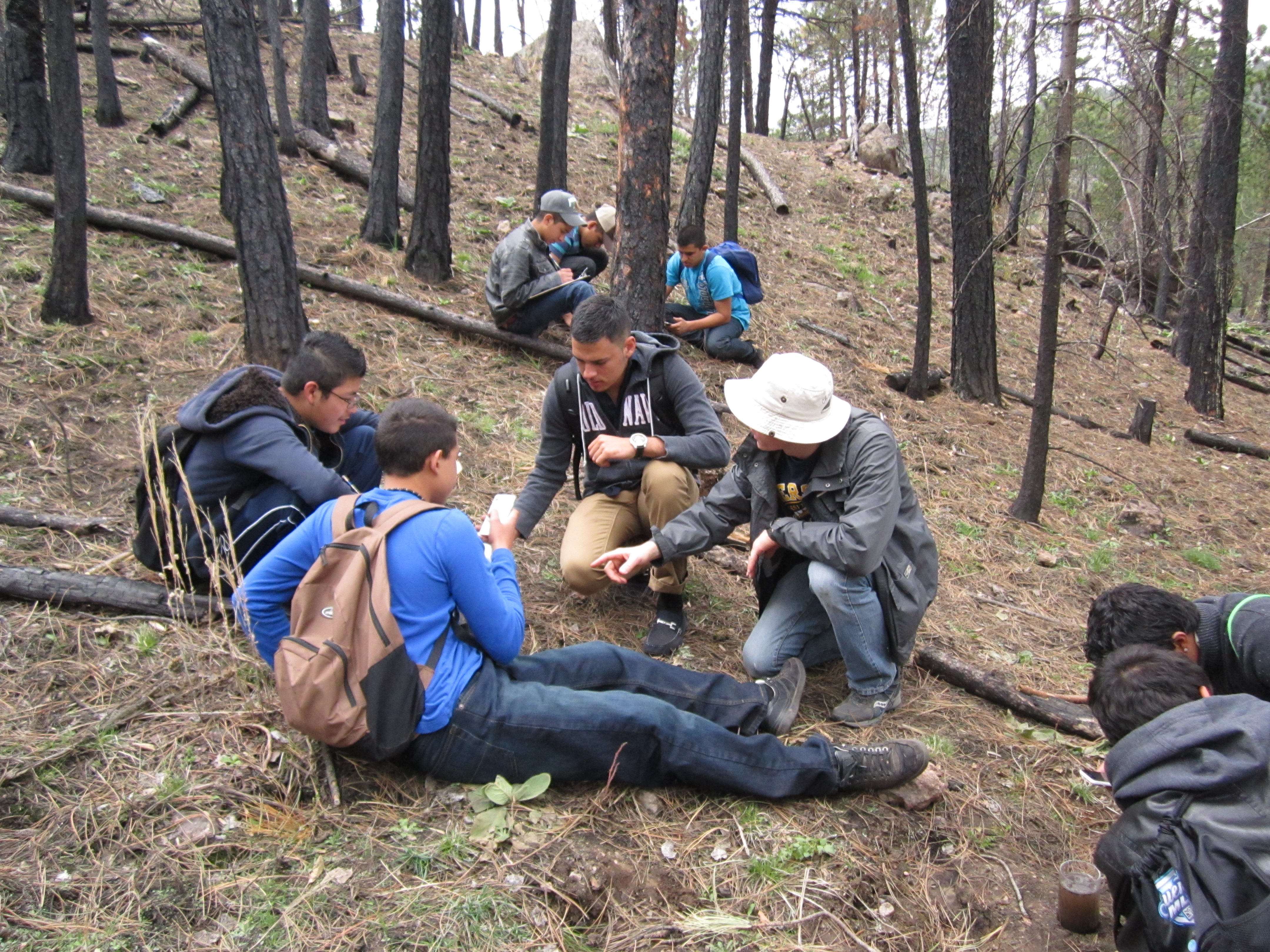 Students collecting ground litter samples