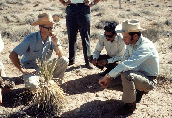 Jornada IBP grassland- Left to right: Rex Pieper, Biome Site Coordinator; Jai Singh; George Van Dyne, Director, US/IBP
Grassland Biome Programme-1971