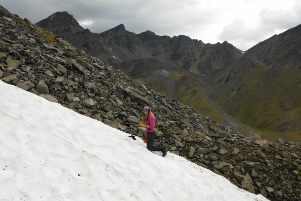 Steven Fassnacht's student sampling on glacier.