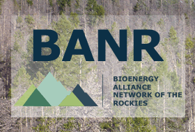 BANR icon (Bioenergy Alliance Network of the Rockies)
