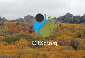 CitSci Logo on backgroud of turning aspen trees