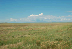 Short Grass Step site in Pawnee National Grasslands