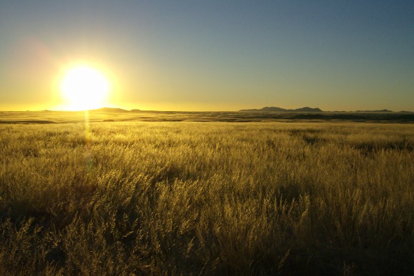 Sunset over gain field