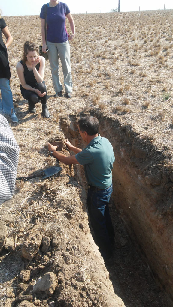 Scientist in portugal describing a soil profile in a soil pit