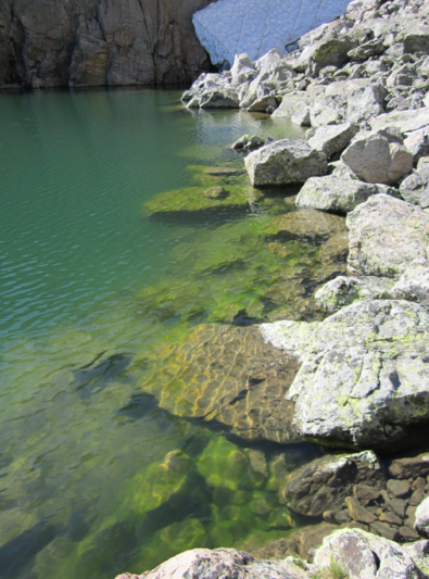 Benthic algal bloom along shores of Sky Pond