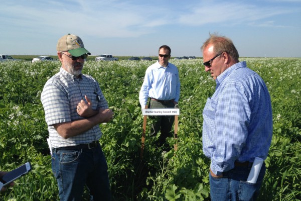 Men in field