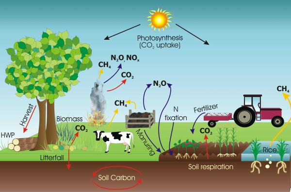 Farm greenhouse gas cycle