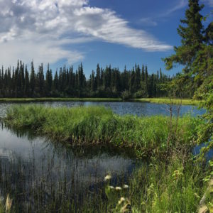 Arctic Ecosystem Photo copyright of NASA