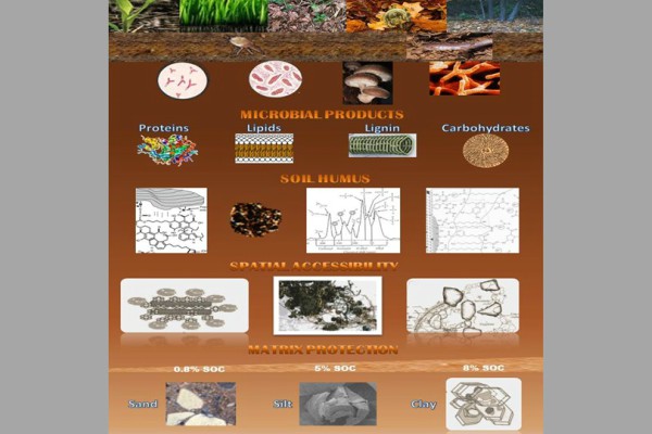 Graphic of different soil make-ups.