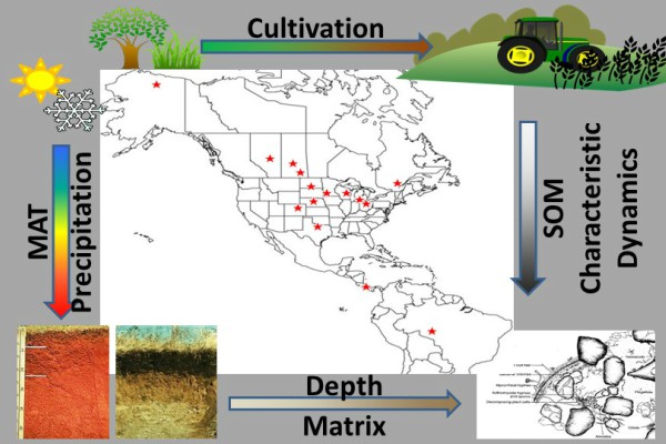 Graphic of soil cycles.