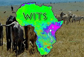Zebra herds behind map of Africa