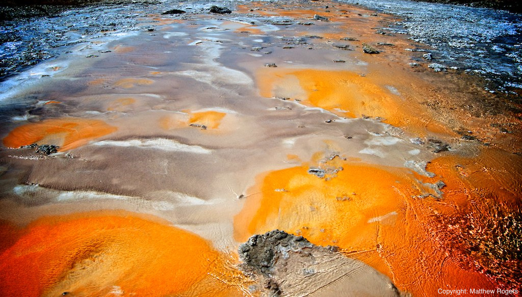 Color microbes growing in a geyer in Yellowstone National Park
