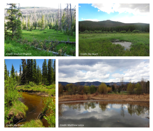 Examples of different kinds of wetlands common in Colorado