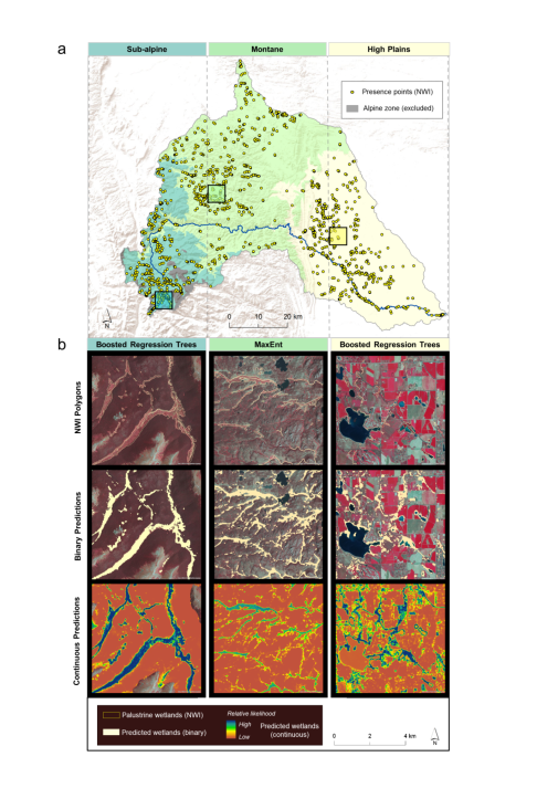 Maps of Cache la Poudre River with colors depicting different variables of interest relating to wetlands