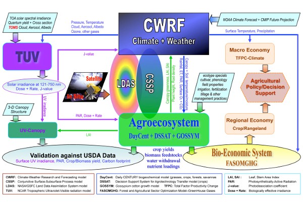 CWRF Diagram