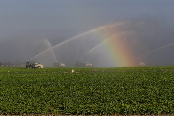 UVB Monitoring in field with rainbow.