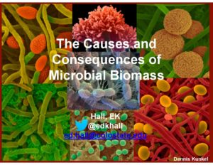 2017 Colloquium: Ed Hall- The Cause and Consequences of Microbial Biomass