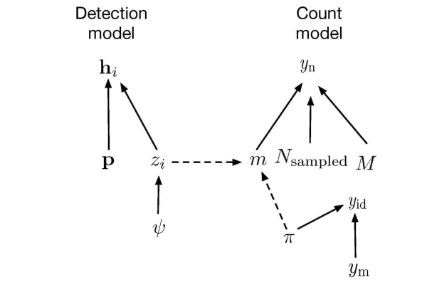 Detection model image