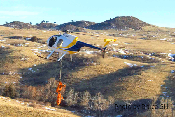 Helicopter transporting deer