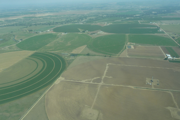 Image of different crop management