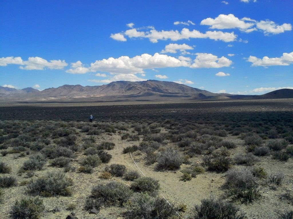 Salt desert shrub in Nevada, USA