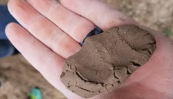 Holding a soil sample