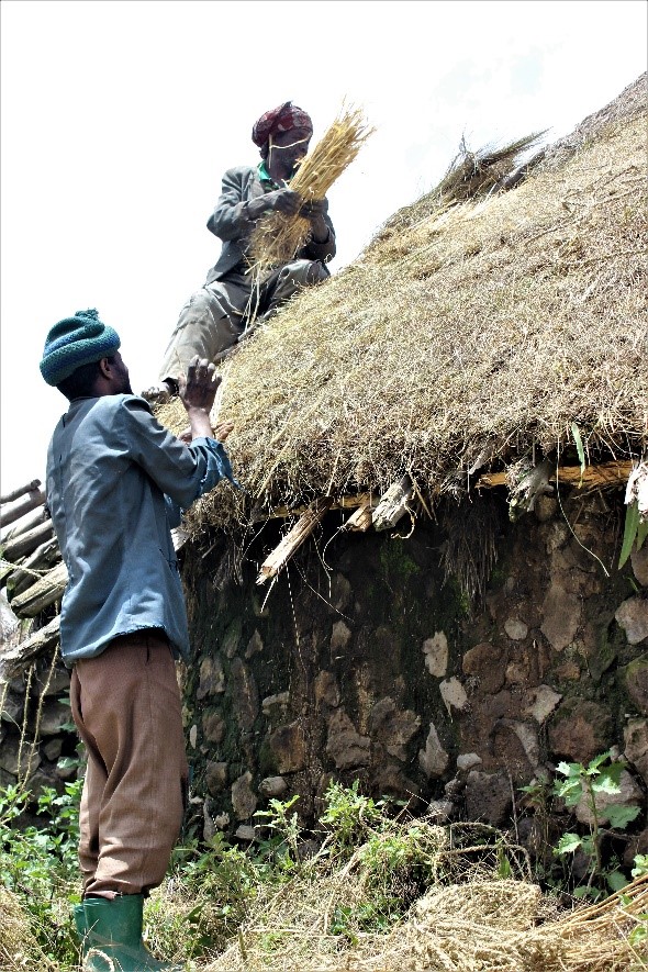 People building roofs out of straw in Ethiopia