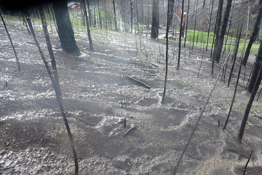 Hill Gulch surface runoff